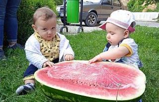 Günün gülümseten fotoğrafı Afyonkarahisar’dan