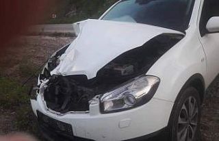 Hafif ticari aracın çarptığı inek telef oldu