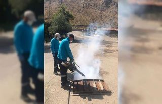 Hakkari’de sivrisineklere karşı kanal sisleme...