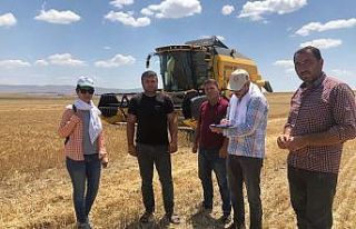 Hasatta dane kayıpları en aza indirilmek için çabalıyorlar