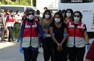 Hatay merkezli hırsızlık çetesi operasyonu