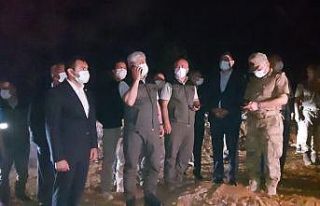 Hatay Valisi Doğan yangın bölgesinde incelemelerde...