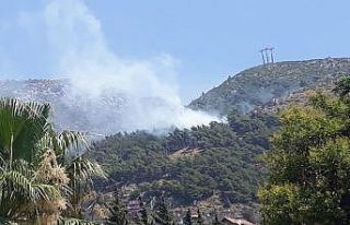 Hatay’da orman yangını