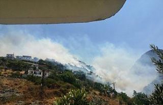 Hatay’da orman yangını: Alevler evlere sıçradı