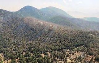 Hatay’da orman yangını üçüncü gün kontrol...
