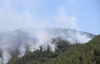 Hatay’da orman yangınına müdahale sürüyor