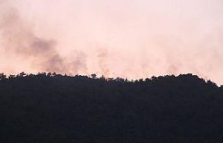 Hatay’da orman yangınına yerden müdahale devam...