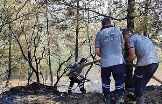 Hatay’da ormanlık alanın yakınında çıkan bahçe...