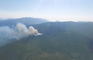 Hatay’da örtü yangınında 3 hektar alan zarar...