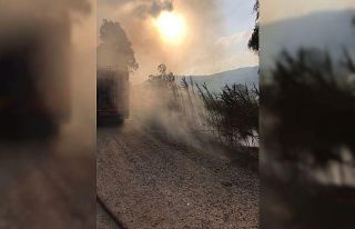 Hatay’da sazlık alandaki yangın kontrol altına...