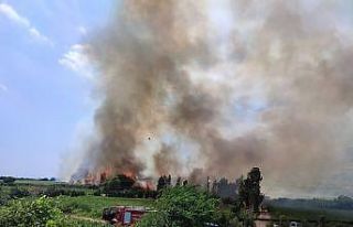 Hatay’da sazlık yangını