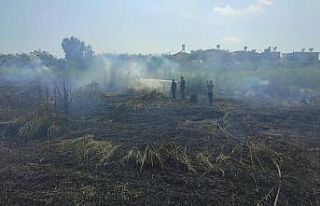 Hatay’da sazlık yangını kontrol altına alındı