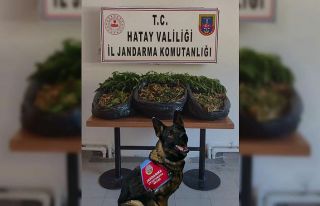 Hatay’da uyuşturucu operasyonu
