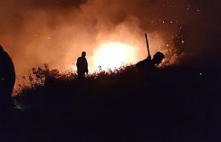 Hatay’daki örtü yangını kontrol altına alındı