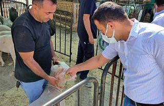 Hayvan pazarında denetim