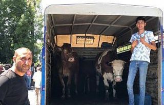 Hayvan pazarını pandemi vurdu, esnafın yüzü gülmedi