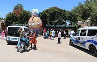 Hayvanat bahçesinde aslan kafesinden kaçtı: 1 yaralı