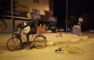 Hem hurda topluyor, hem sokak hayvanlarına babalık...