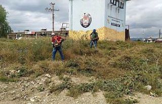 Hisarcık Belediyesinden yabani ot temizliği