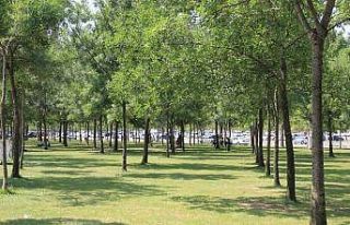 Hissedilen sıcaklığın 40 dereceyi aştığı Kocaeli’de...