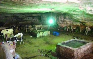 Hissedilen sıcaklığın 50 dereceye yaklaştığı...