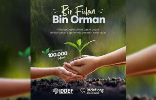 İDDEF’ten ’Bir Fidan Bin Orman’ projesi