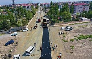 Iğdır’da asfalt çalışmaları başladı