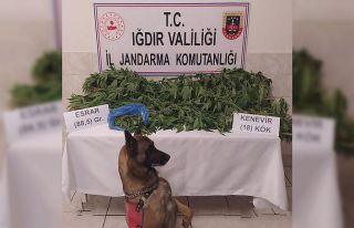 Iğdır’da uyuşturucu tacirlerine ve kaçakçılara...