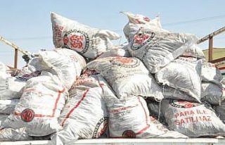 İhtiyaç sahiplerine kömür dağıtımı