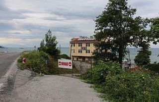İki köy anlaşamadı, 812 yaşındaki çınar ağacının...