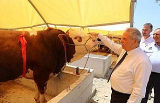 İlkadım’dan ‘Kurbanınız Sevince Dönüşsün’...