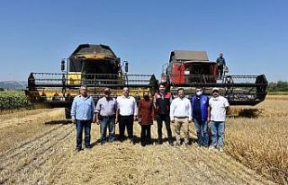 İnönü’deki arpa hasadı başladı