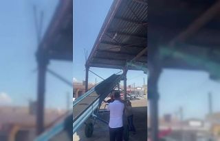 İpte asılı kalan güvercini esnaf kurtardı