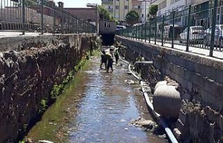 İslahiye Belediyesinden dereleri ıslah çalışması