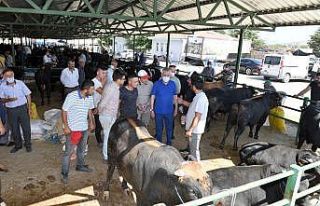 Isparta’da engelli ve yaşlıların kurban kesim...