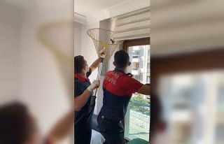 Isparta’da eve giren yarasayı itfaiye çıkardı