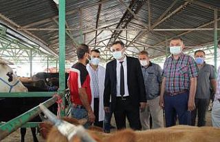 Isparta’da hayvan pazarlarında denetimler arttırıldı