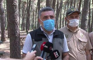 İstanbul Orman Bölge Müdürü Yusuf Şahin’den...