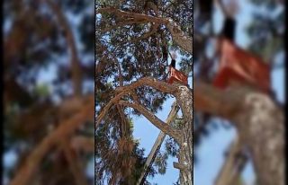 İtfaiye ekipleri leyleği kurtarıp su içirerek...