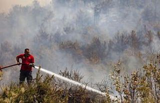 İtfaiye erleri yangını söndürmek için canla...