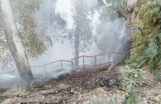 İtfaiyenin hızlı müdahalesi, yangının büyümesini...