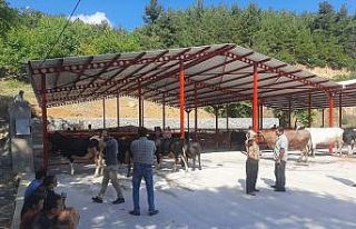 İvrindi’de 2. hayvan pazarı faaliyete geçti
