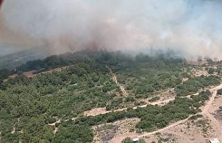 İzmir’de makilik alanda çıkan orman yangını...