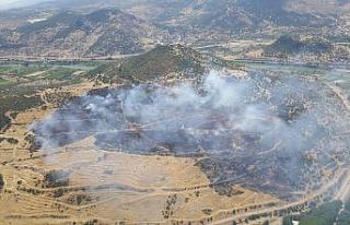 İzmir’de makilik ve zeytinlik alanda çıkan yangın...