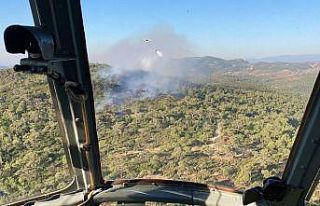 İzmir’de orman yangını kontrol altında