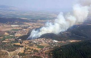 İzmir’de ormanlık alanda yangın