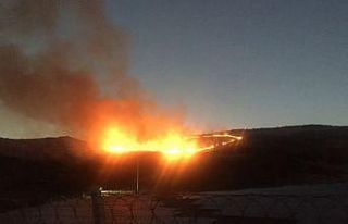 İzmir’de otluk alanda yangın