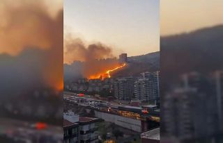 İzmir’de otluk alanlarda çıkan yangınlar söndürüldü