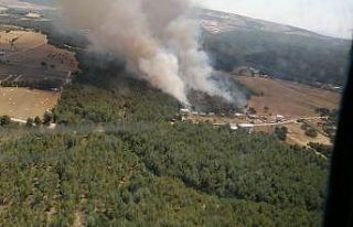 İzmir’deki orman yangını kontrol altında