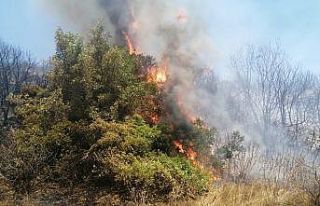 İzmir’deki yangında korku dolu anlar